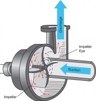 Centrifugal Pump Cutaway